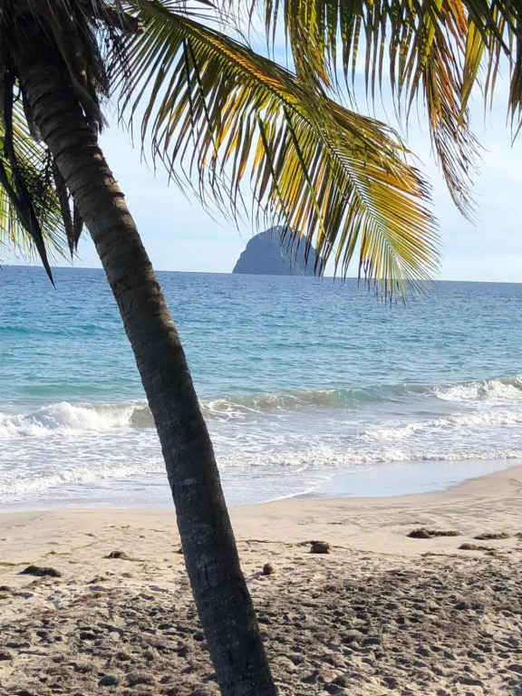 studio Sainte Anne 2mn a pieds de la plage ,possibilité location de voiture CV acceptés
