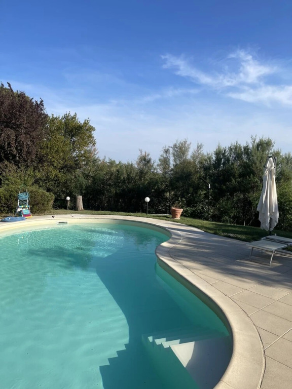 Il Lauro