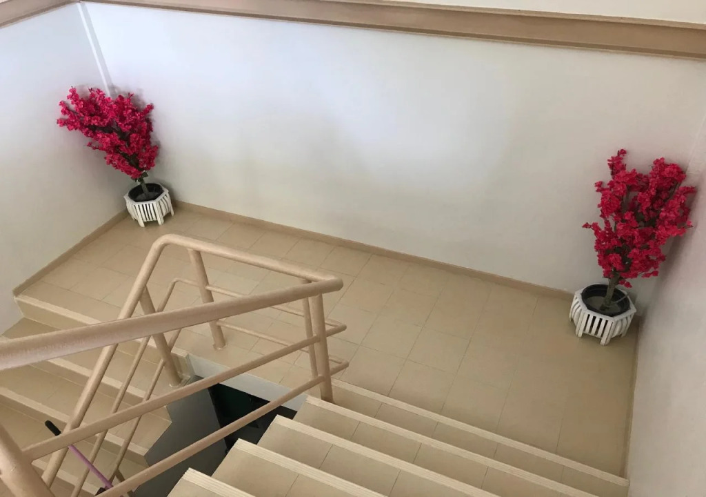 B Place Guesthouse