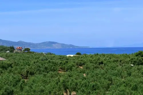 Asteria Apartments