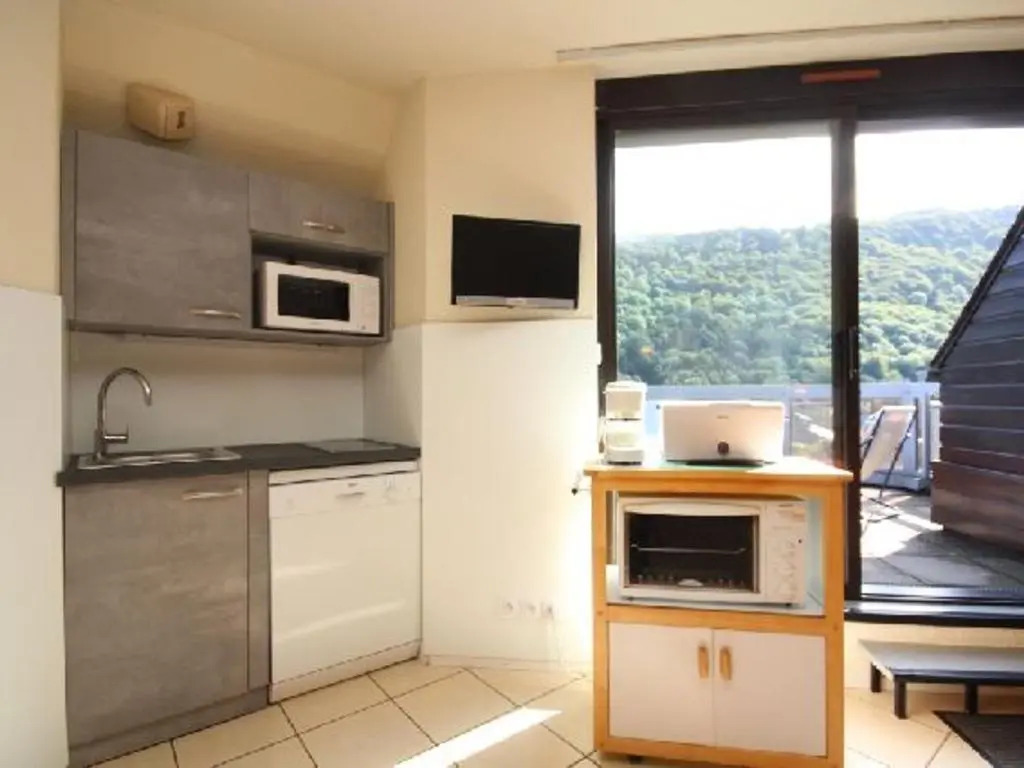 Appartement Mont-Dore, 2 pièces, 4 personnes - FR-1-608-146