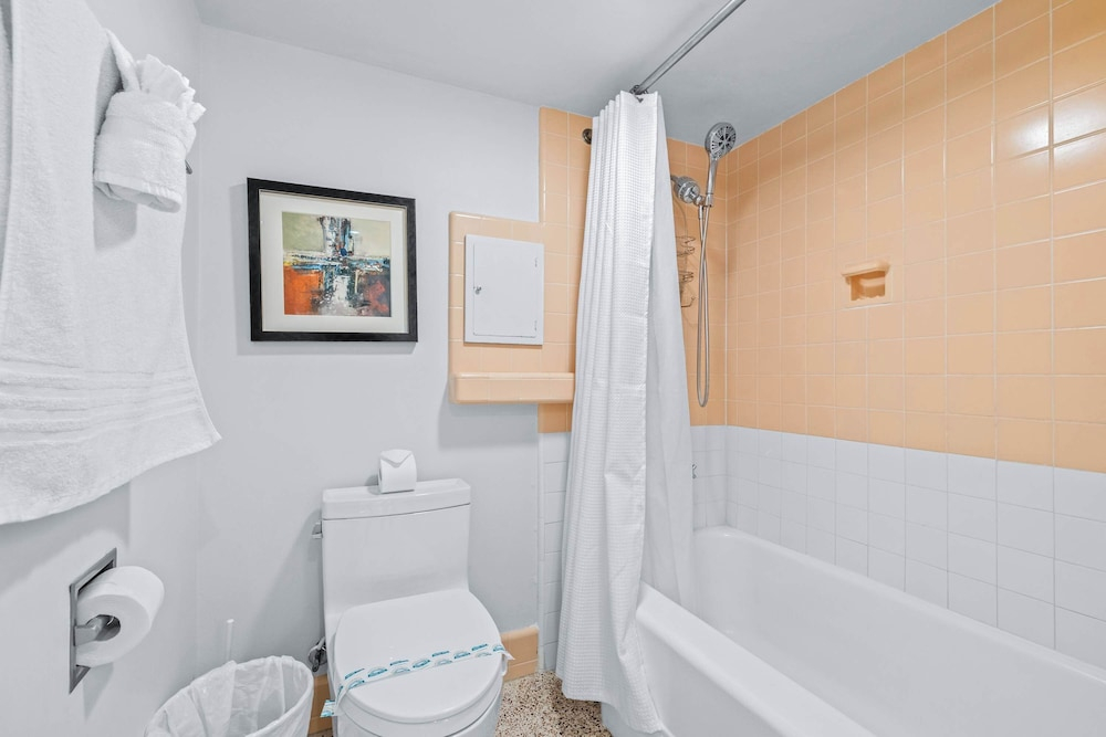 Mid Century Modern Weekly Winter Rates!