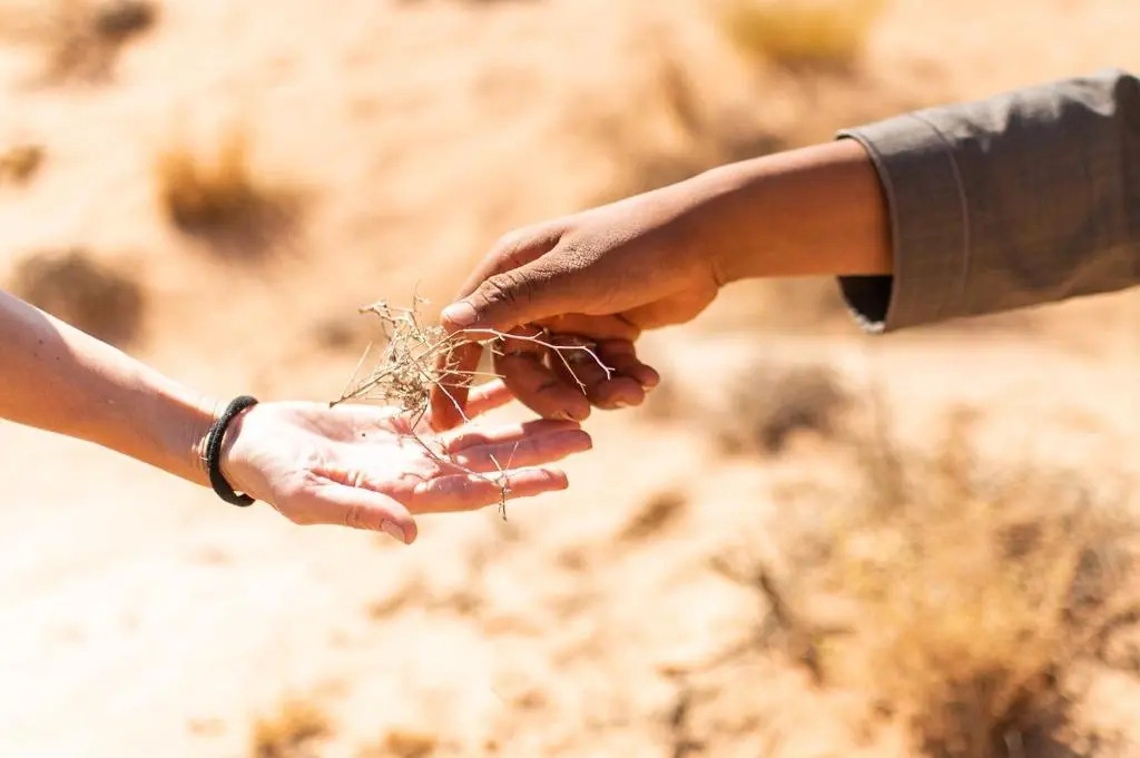 Wadi Rum Magic Nature Camp