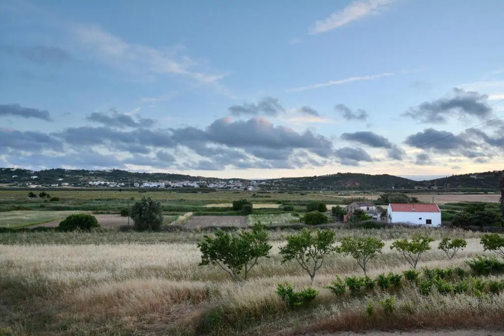 Monte da Casteleja
