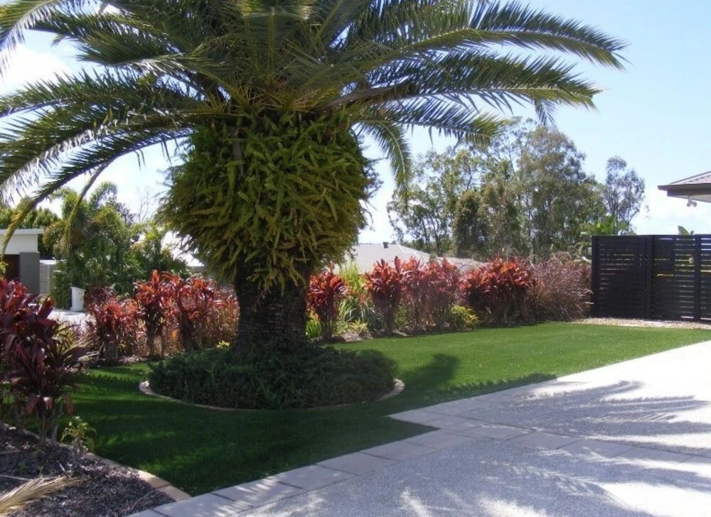 Anaheim Executive Retreat