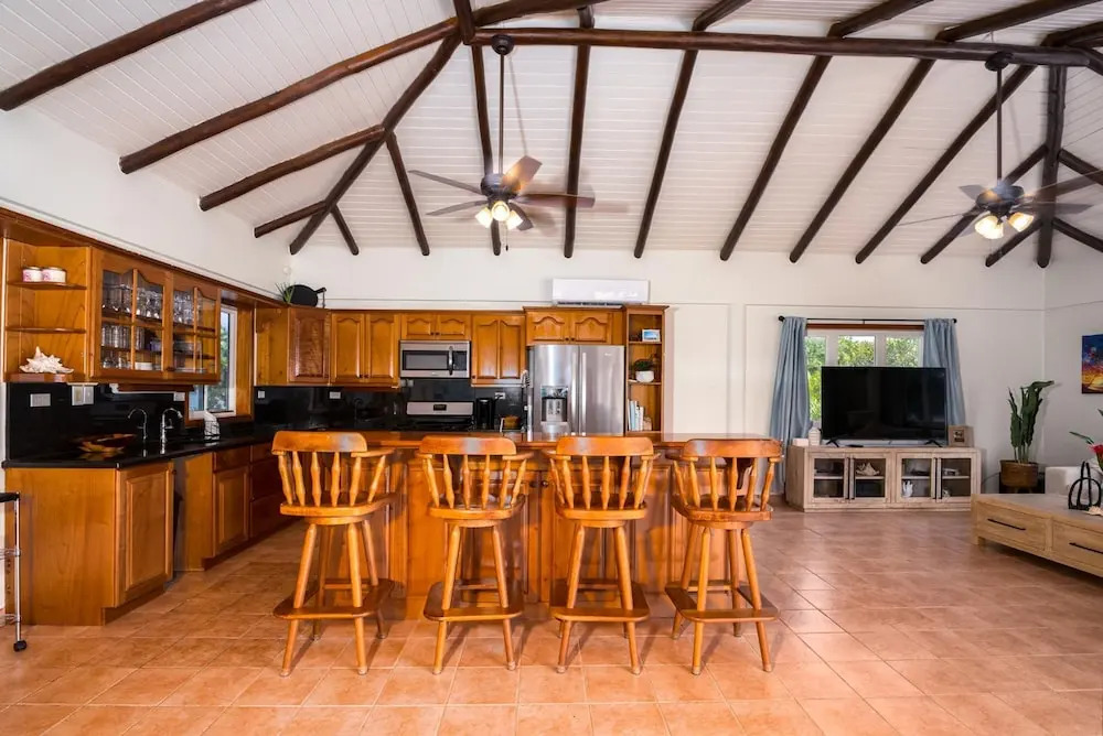 Dolphin Beach - Private Oceanfront 4-Bed Villa wPool on Huge Lot