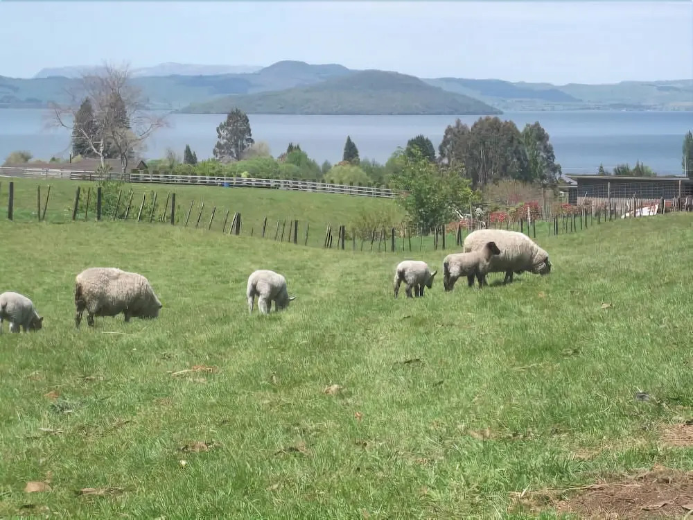 A Panoramic Country Homestay