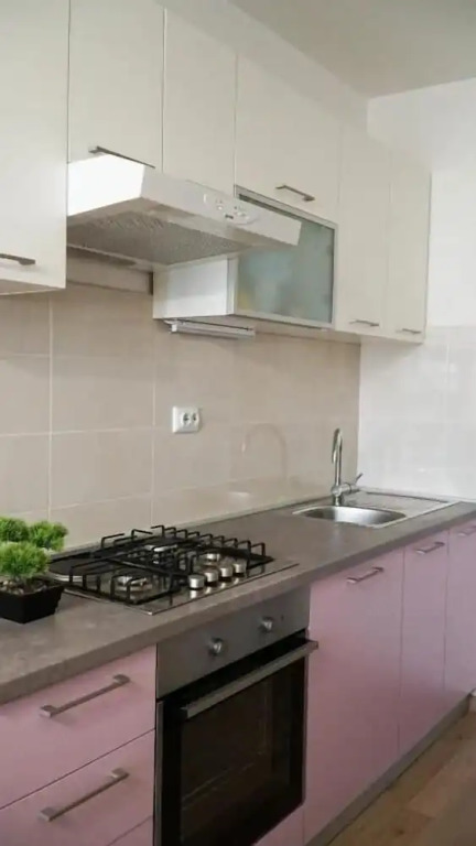 Apartment Anica