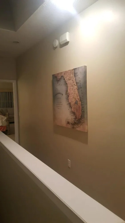 Pugsy's Paradise
