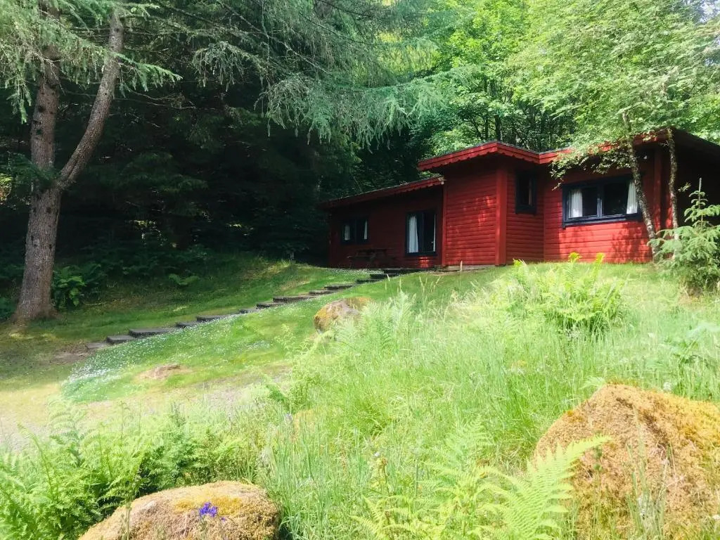 Hillside Log cabin, Ardoch Lodge, Strathyre