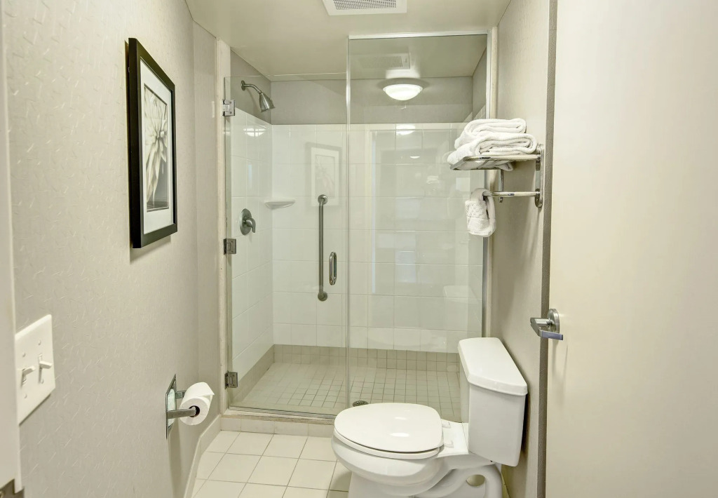 SpringHill Suites by Marriott New Bern