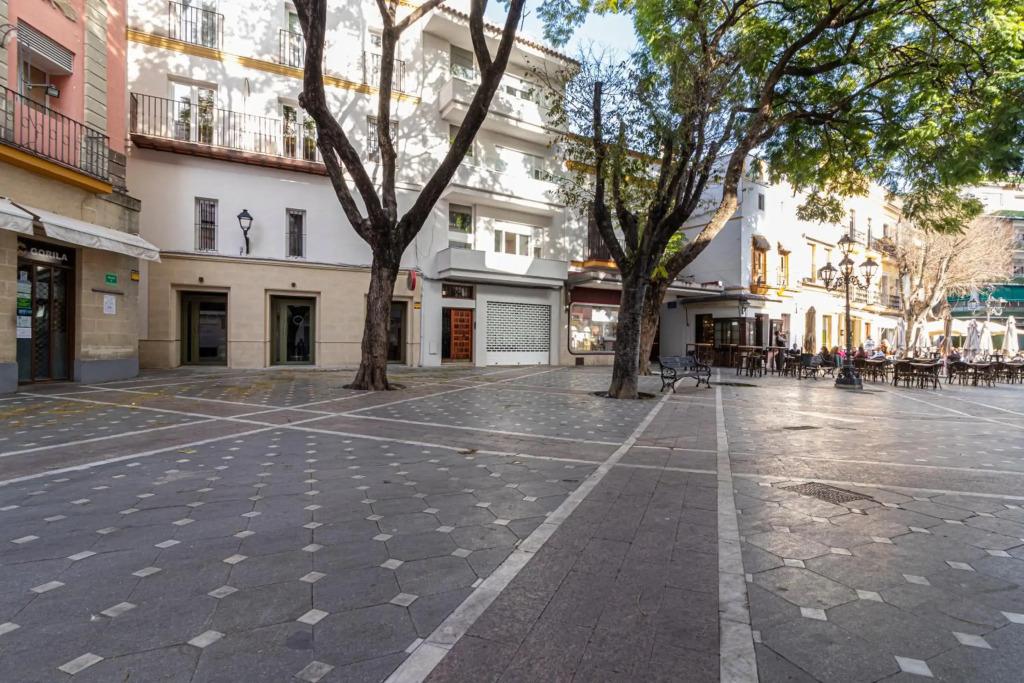 Allo Apartments Plateros Centro