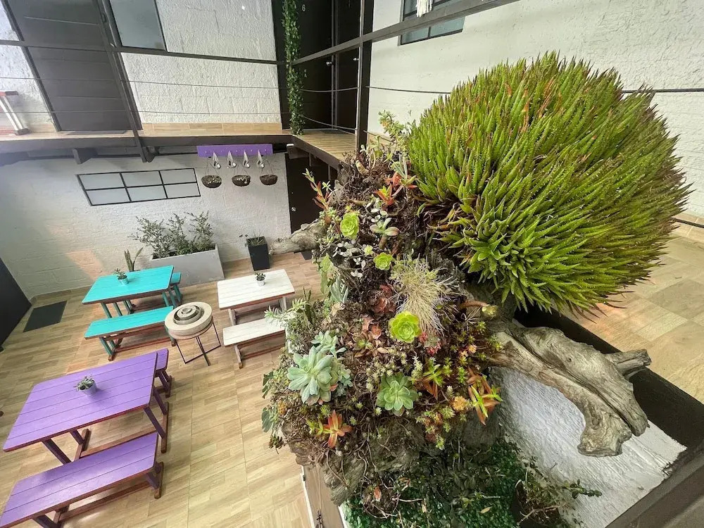 Apartamento en Casa Colonial Centro Internacional