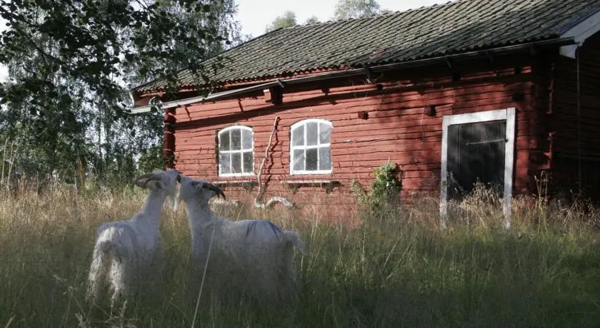 Knipberget B&B