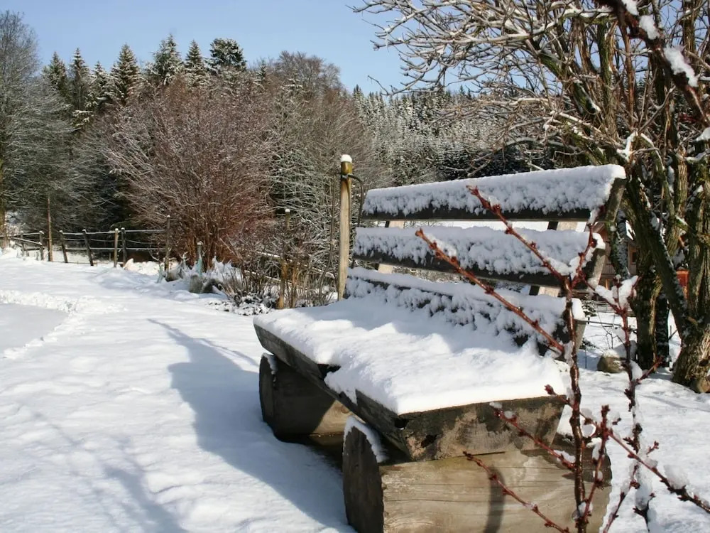 Ferienwohnung im Schwarzwald mit Garten