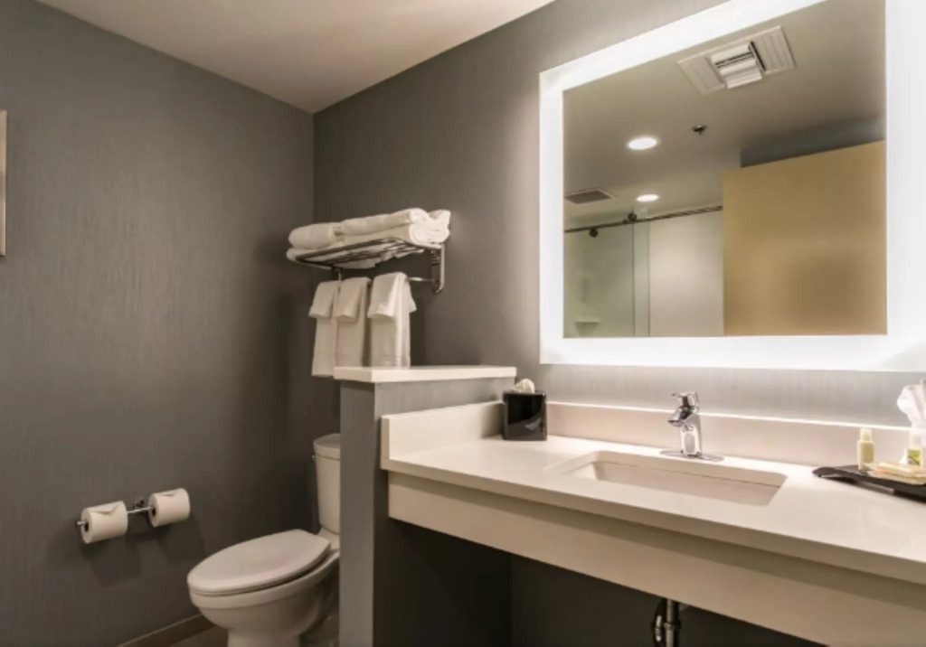 Holiday Inn & Suites Chattanooga Downtown by IHG