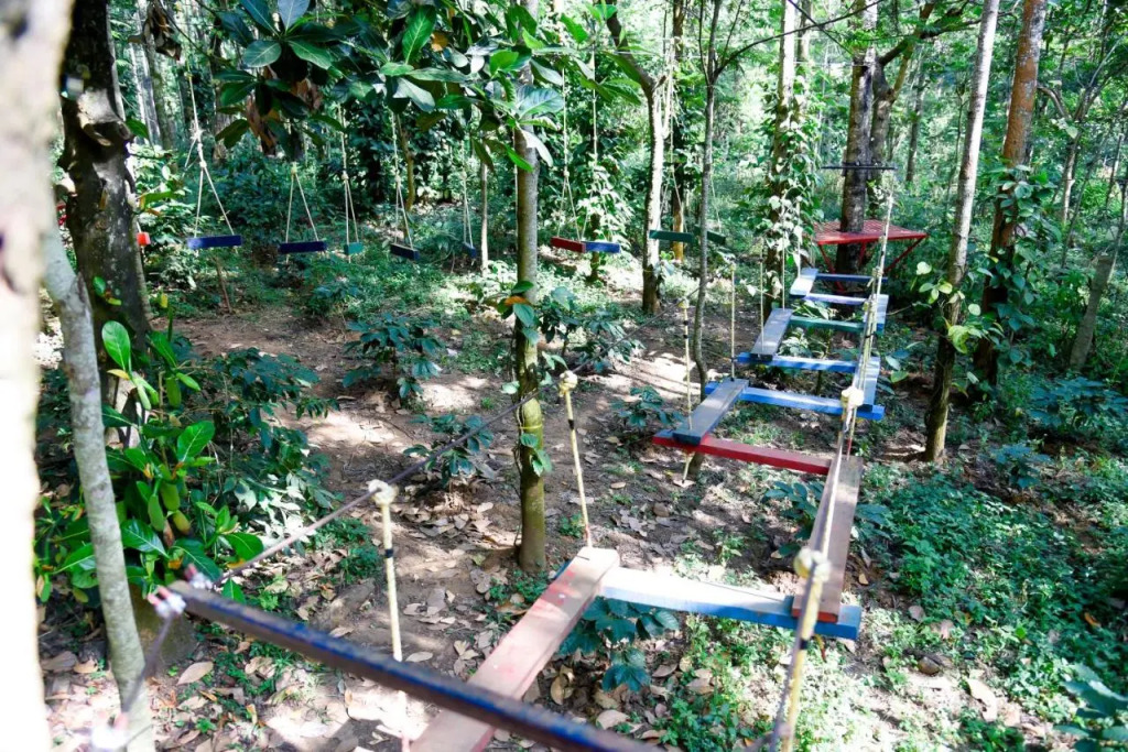 The Spectrum Resort - Chikmagalur