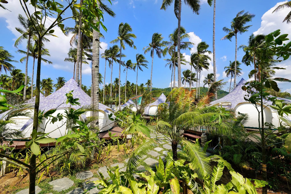 Mad Monkey Hostel Nacpan Beach