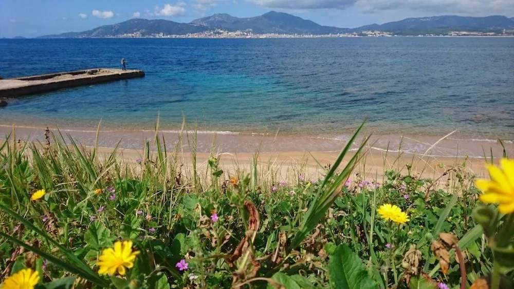 Résidence CasaBianca Porticcio - Aïtone