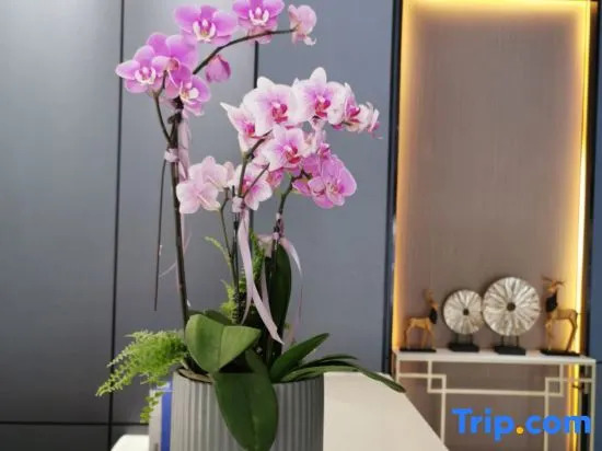Hillman Light Luxury Hotel (Yueyang Taiyangqiao Branch)