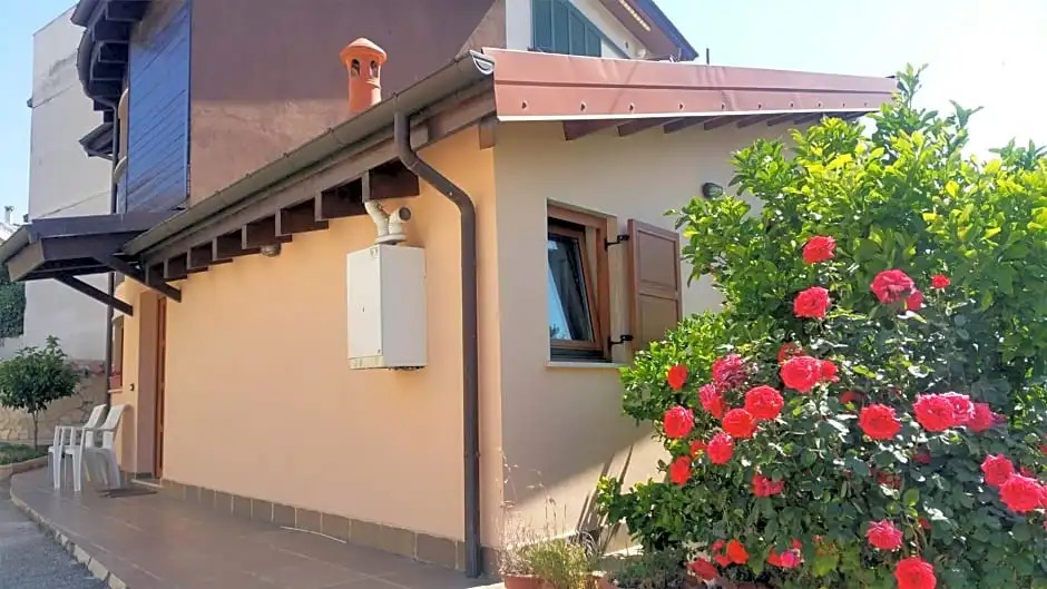 B&B1913