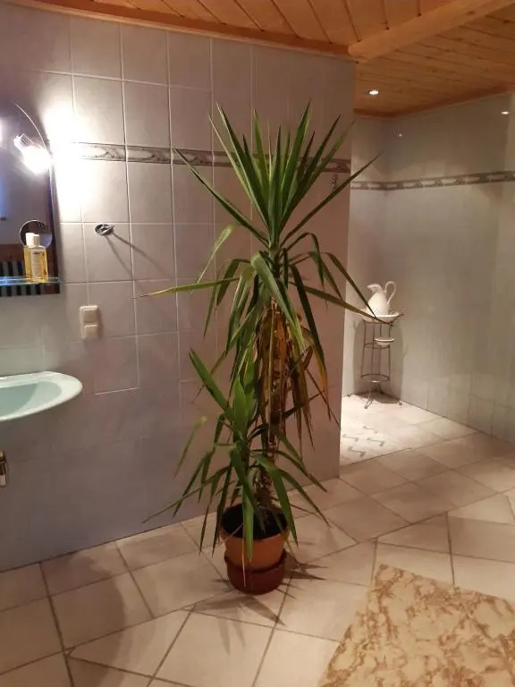 Ferienwohnung 2 Haus Dörfler