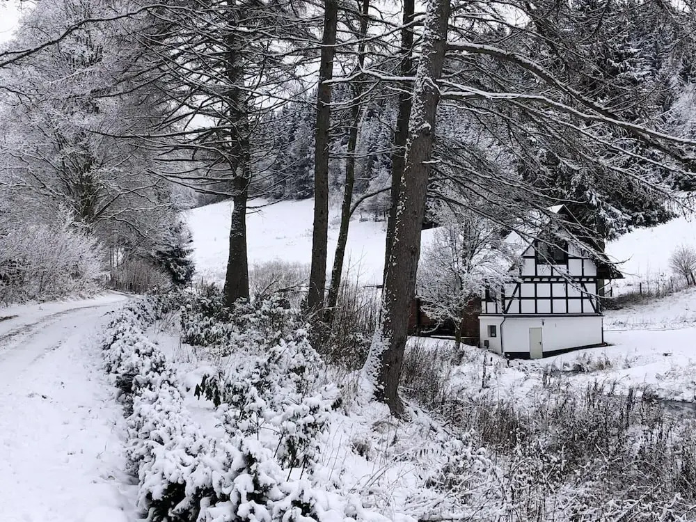 Ruckzugsort am Teich in Winterberg