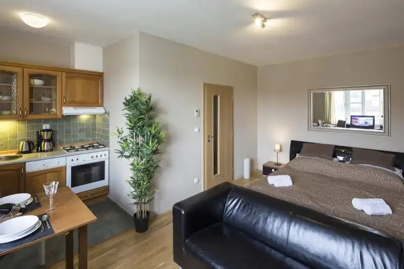 Apartment at Wenceslas Square