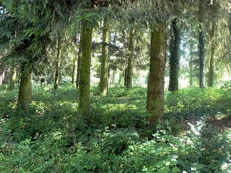 Chambre dhôtes du Moulin de Landonvillers