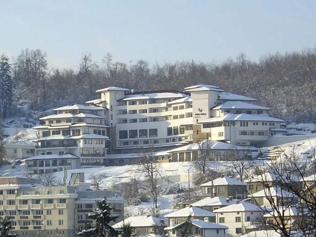 Hotel Kalina Palace
