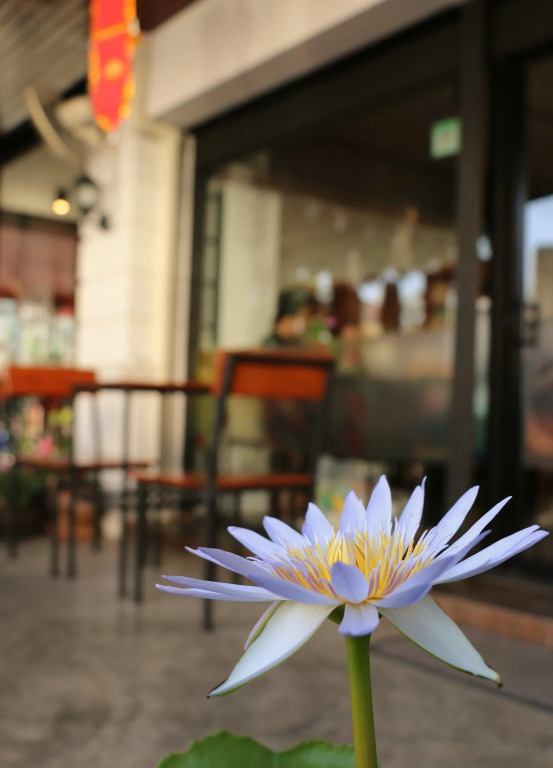 Zion Hostel and Cafe