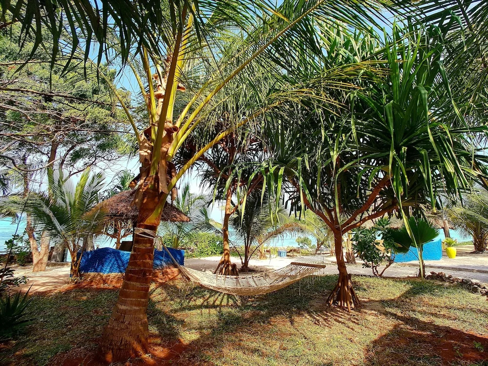 Queen of Sheba Beach Lodge