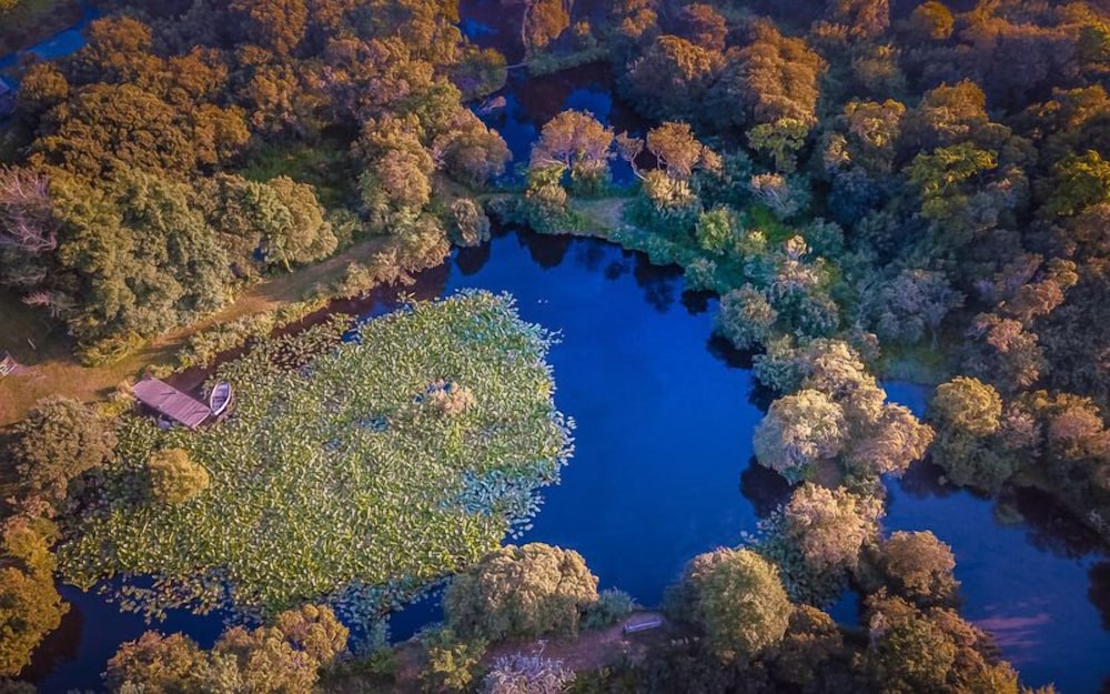 Trecombe Lakes