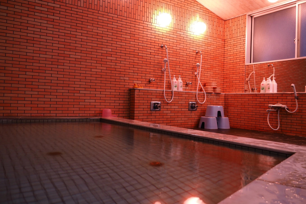 Hayashi Annex