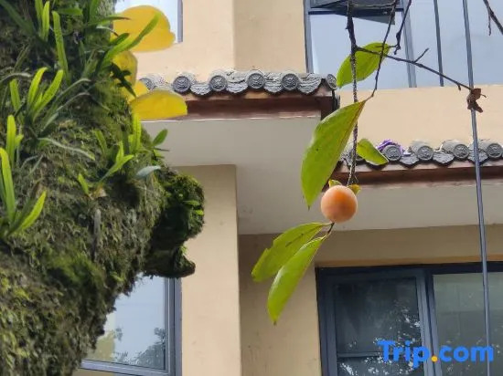 Yehou Qi Homestay (Yaan Mengding Mountain Town Branch)