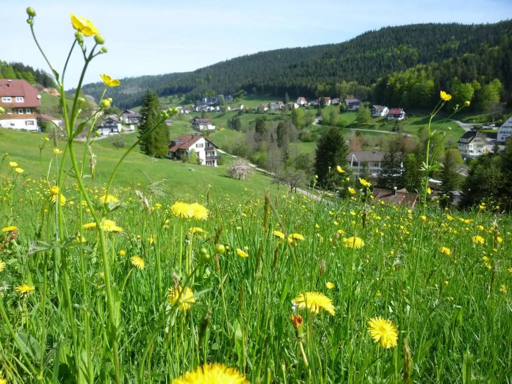 Schwarzwald-Ferienwohnungen Begert