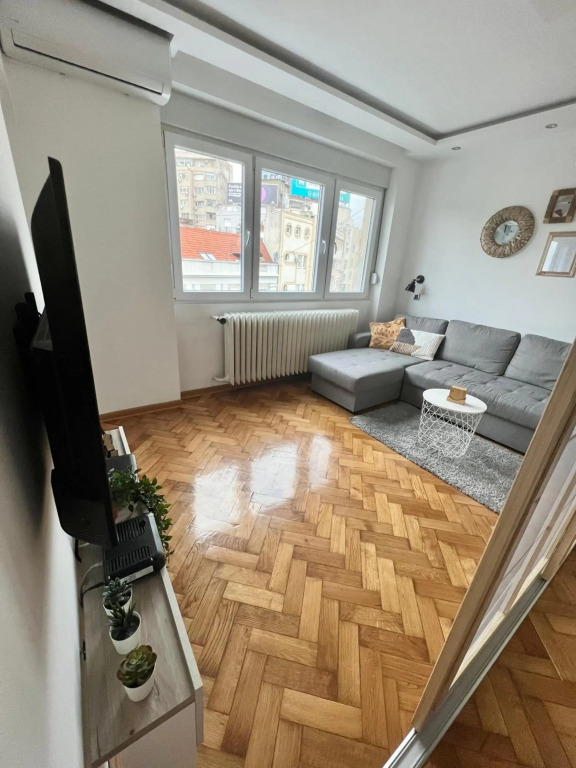 Comfortable apartment in city hub