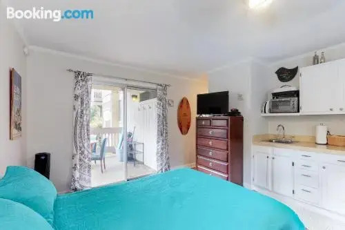 Sandpiper 206B