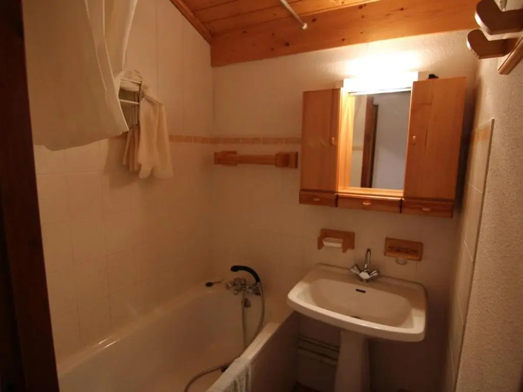 Appartement Les Saisies, 1 pièce, 4 personnes - FR-1-594-151