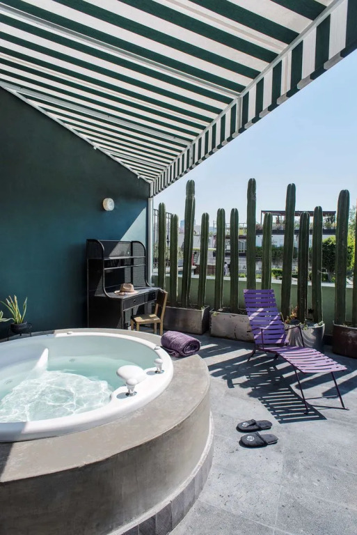 Pug Seal Polanco Anatole France