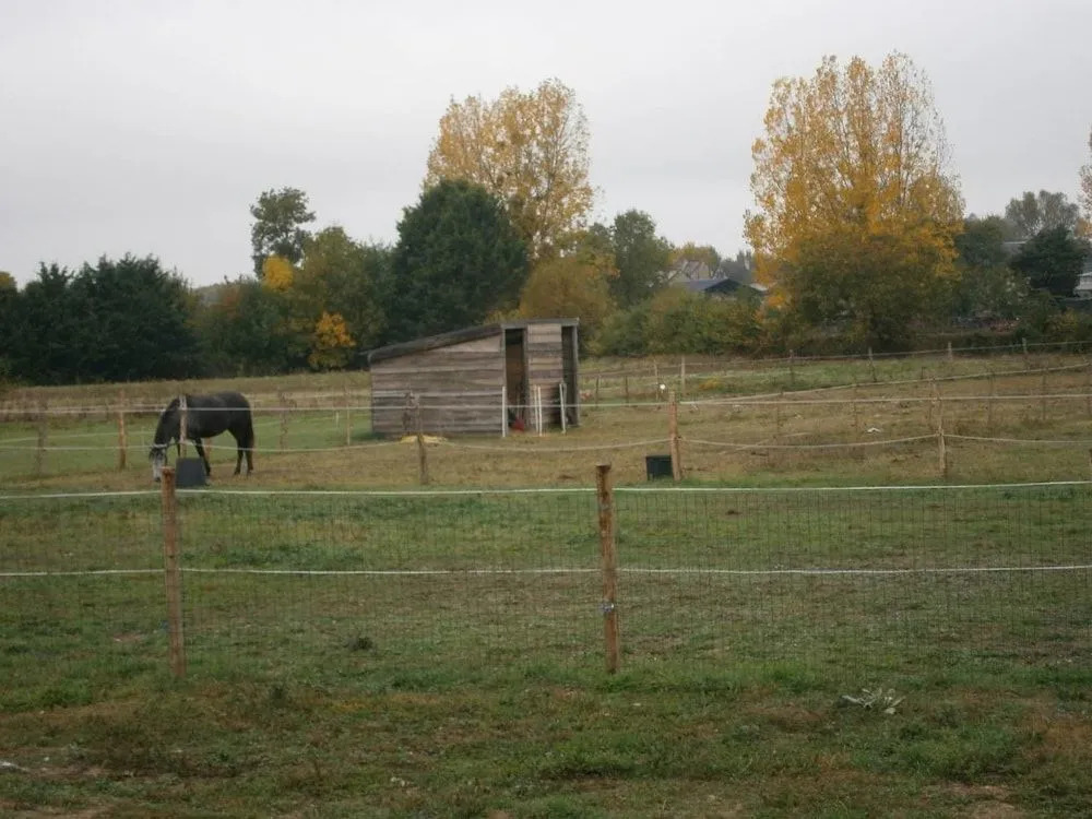 Chez Elisa
