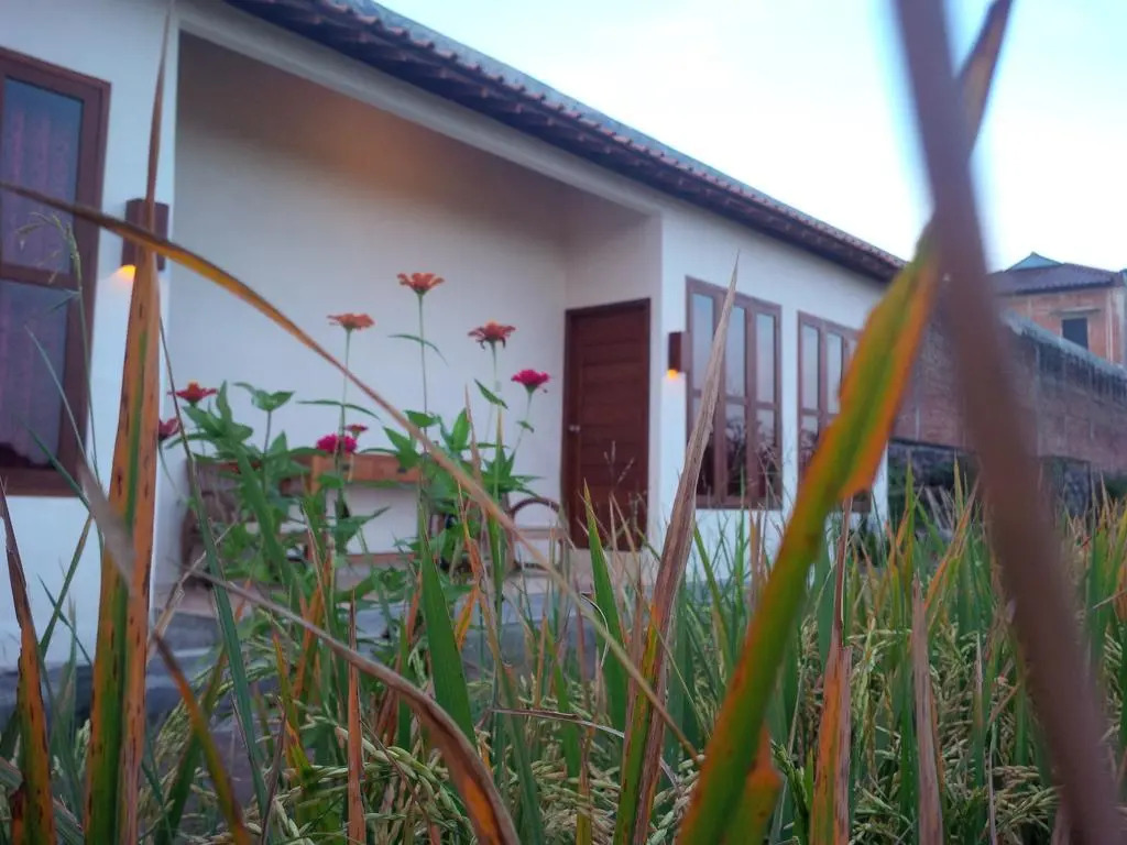 Rosella Cottages - Homestay - Yogyakarta