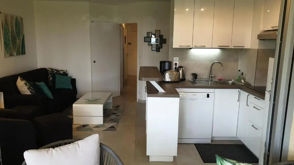 Garden and beach sea view apartment Cannes