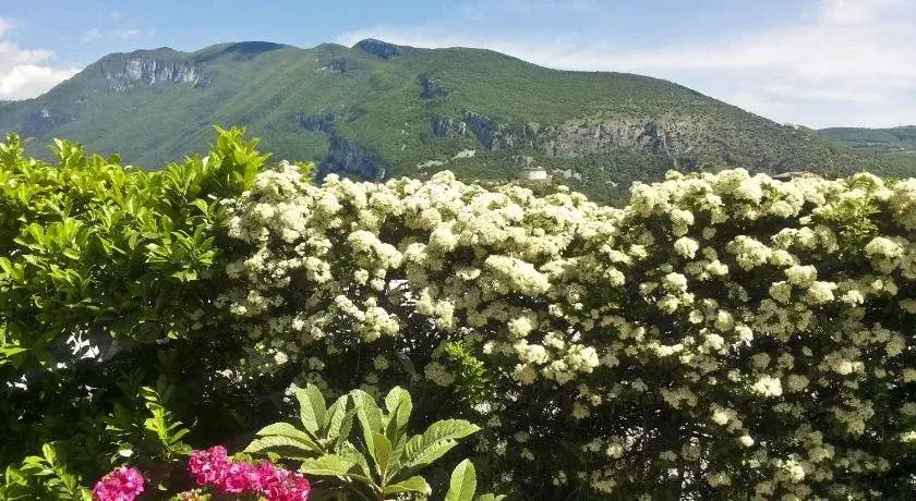 BeB Villa Rosa