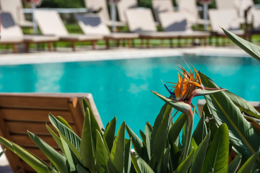 Bitzaro Grande Hotel & Suites