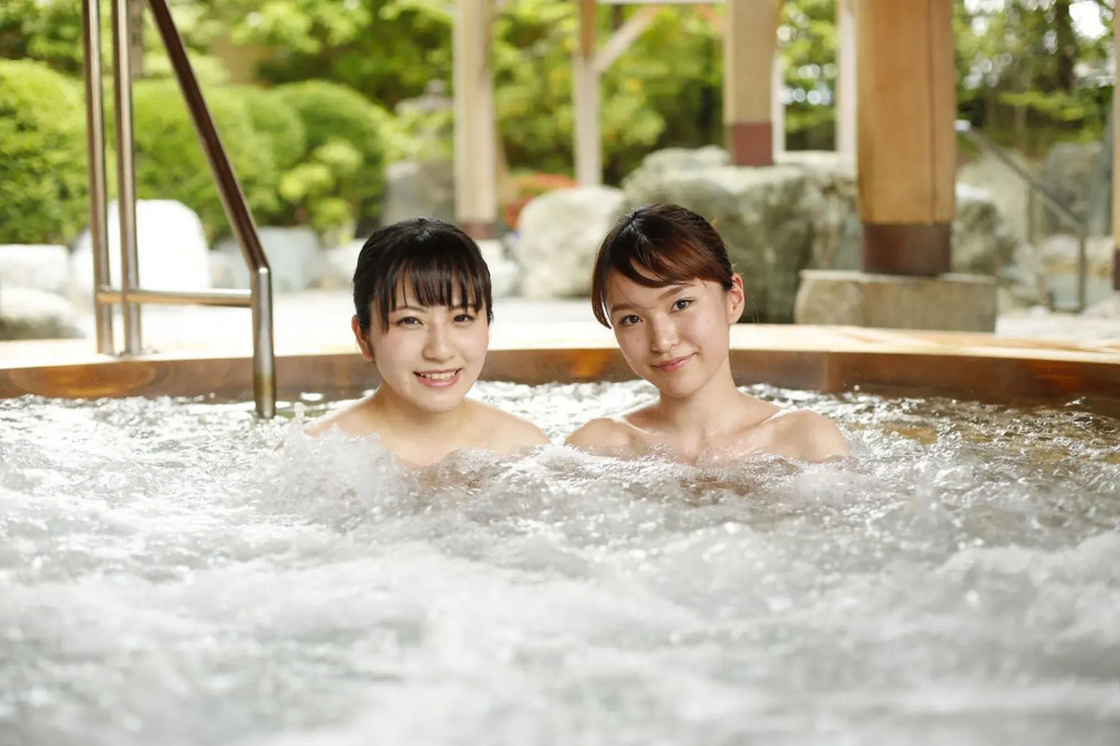 Hida Takayama Onsen Takayama Green Hotel - KEIO GROUP HOTELS
