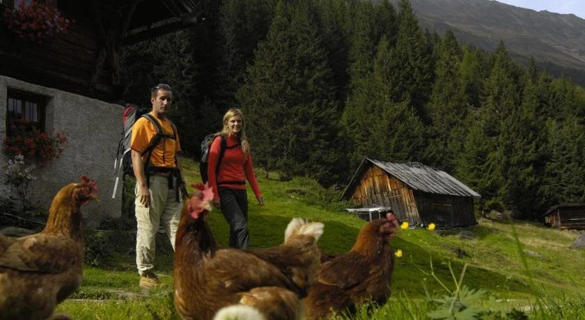 Aparthaus Camping Stubai