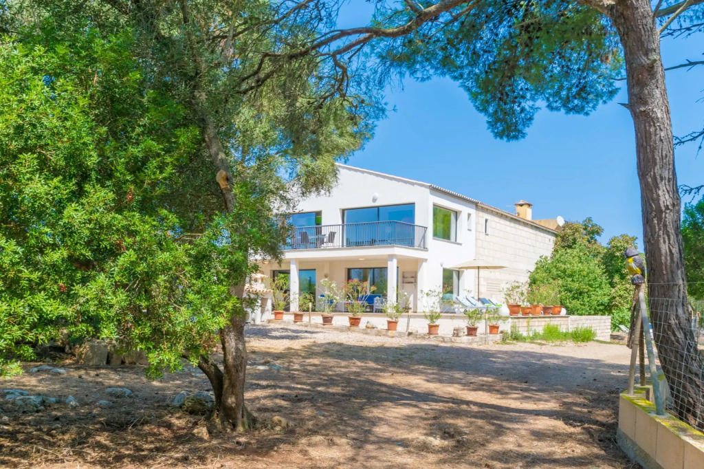 Finca SON Baulo