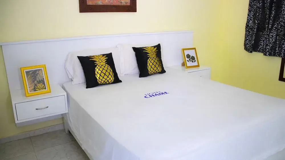 Hotel Chame