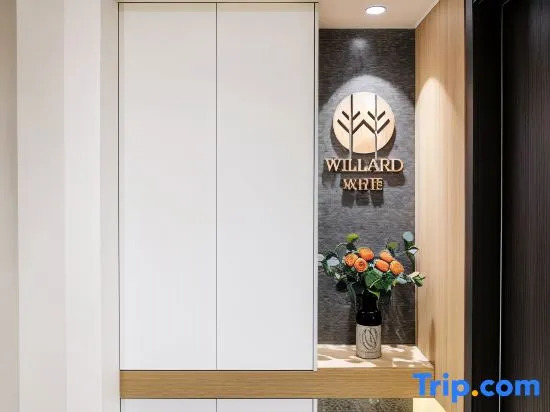 Willard Hotel (Xi'an Matengkong Metro Station Branch)
